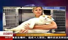 肥猫tv在线观看