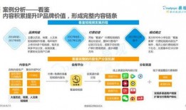 短视频爆料风险分析,揭秘网络传播中的潜在隐患